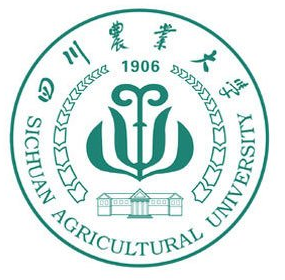 四川农业大学性价比最高的211自考院校