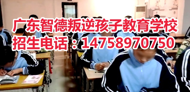 哪里有好的广东叛逆孩子学校，推荐广东智德叛逆孩子教育学校